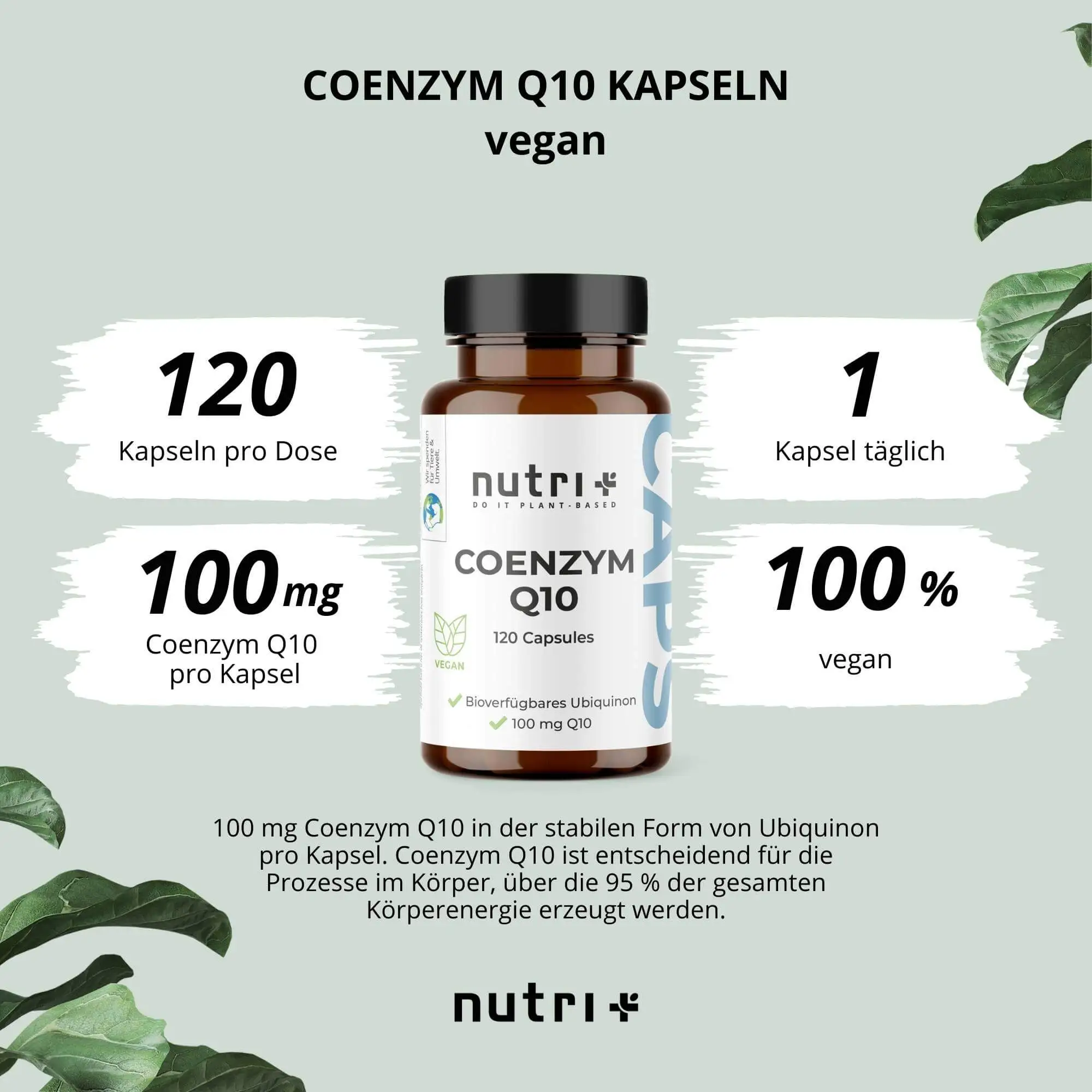 nutri+ Coenzym Q10 Kapseln vegan Übersicht – 120 Kapseln pro Dose, 100 mg Coenzym Q10 pro Kapsel, 1 Kapsel täglich