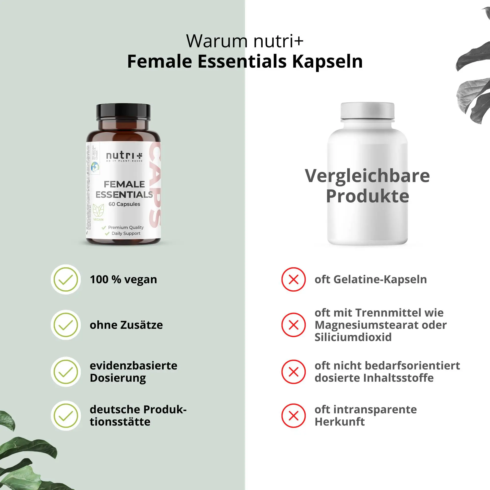 Female Essentials Kapseln von nutri+: vegane Nahrungsergänzung ohne Zusätze, evidenzbasierte Dosierung.