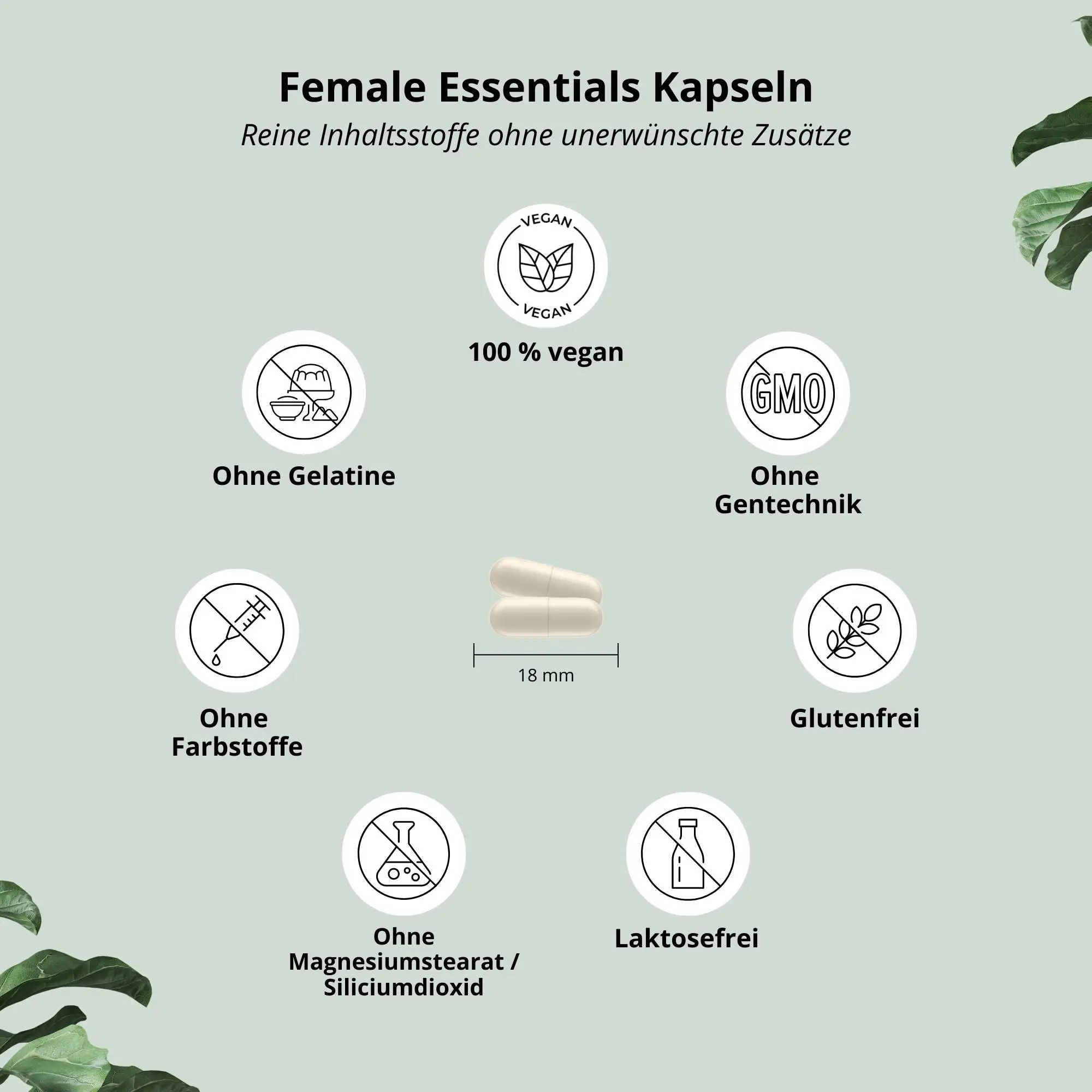 Detailansicht der Female Essentials Kapseln: vegane, glutenfreie Nährstoffe für Frauen ohne Zusatzstoffe.