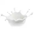 Milchspritzer mit weißem, cremigem Aussehen auf einem neutralen Hintergrund.
