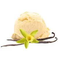 Vanilleeis mit einer Blüte und Schoten, die pure Vanille repräsentiert.