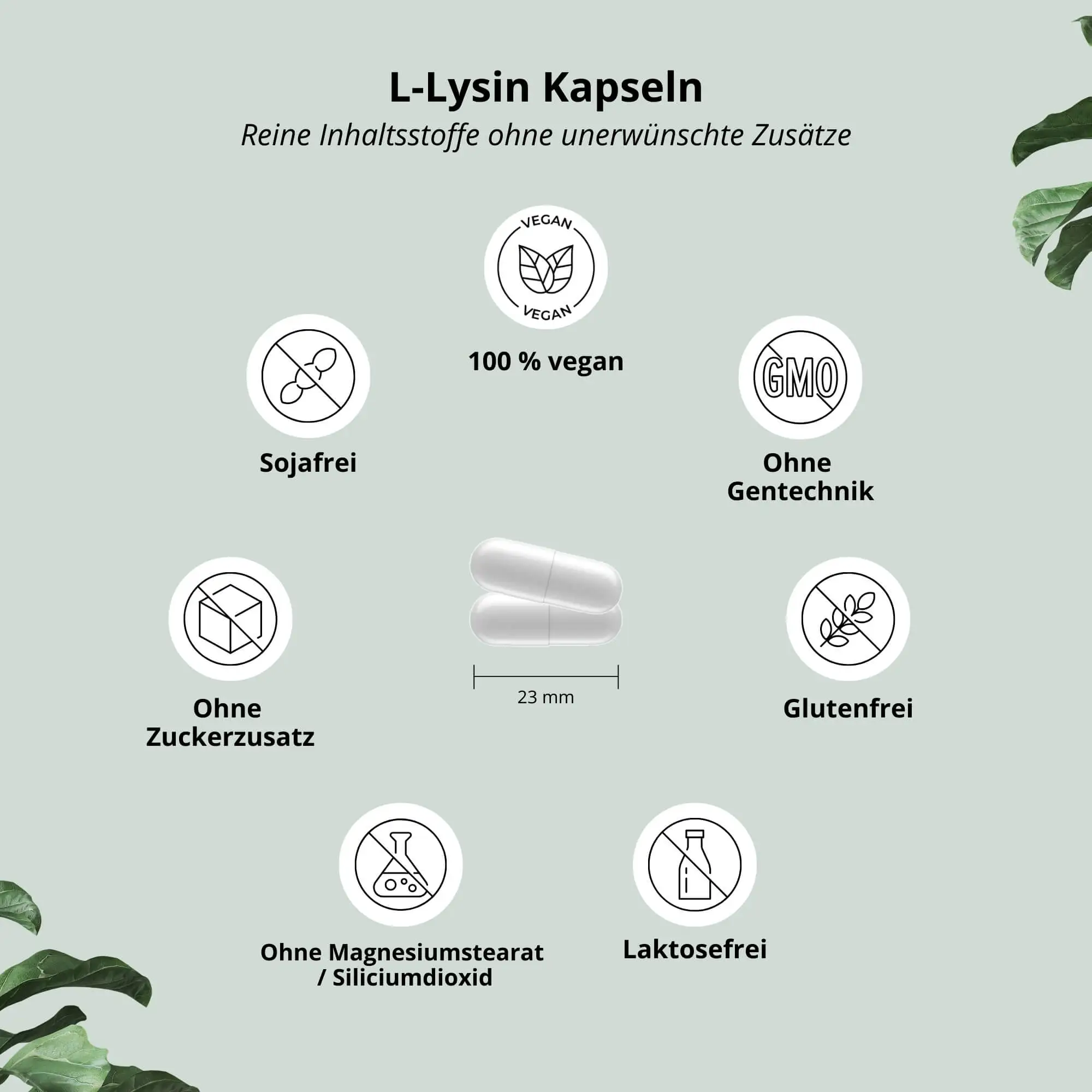 L-Lysin Kapseln: Darstellung der veganen Zutaten und Vorteile wie sojafrei und glutenfrei.