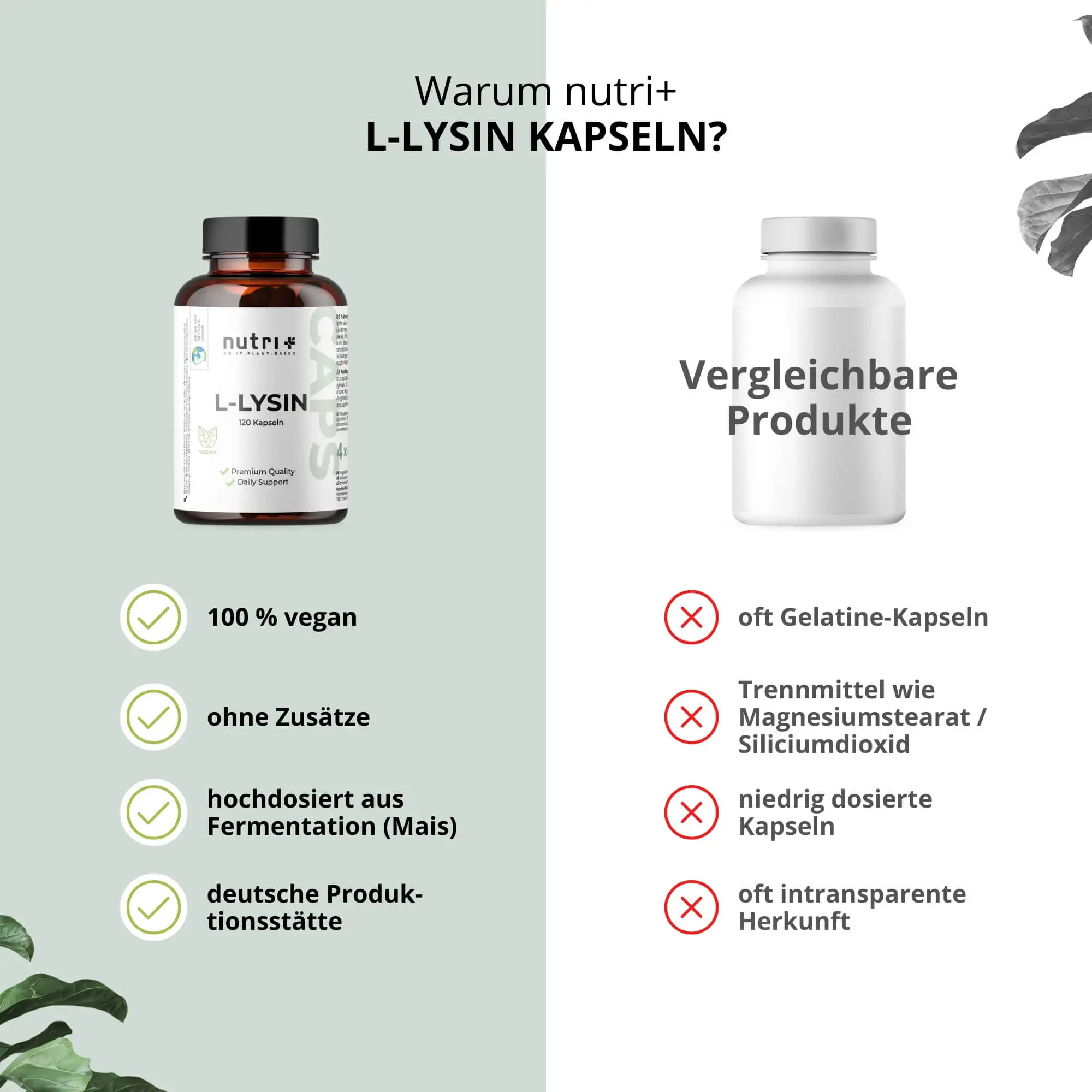 L-Lysin Kapseln von nutri+: vegane, zusatzfreie Kapseln aus fermentation, transparentes Design.