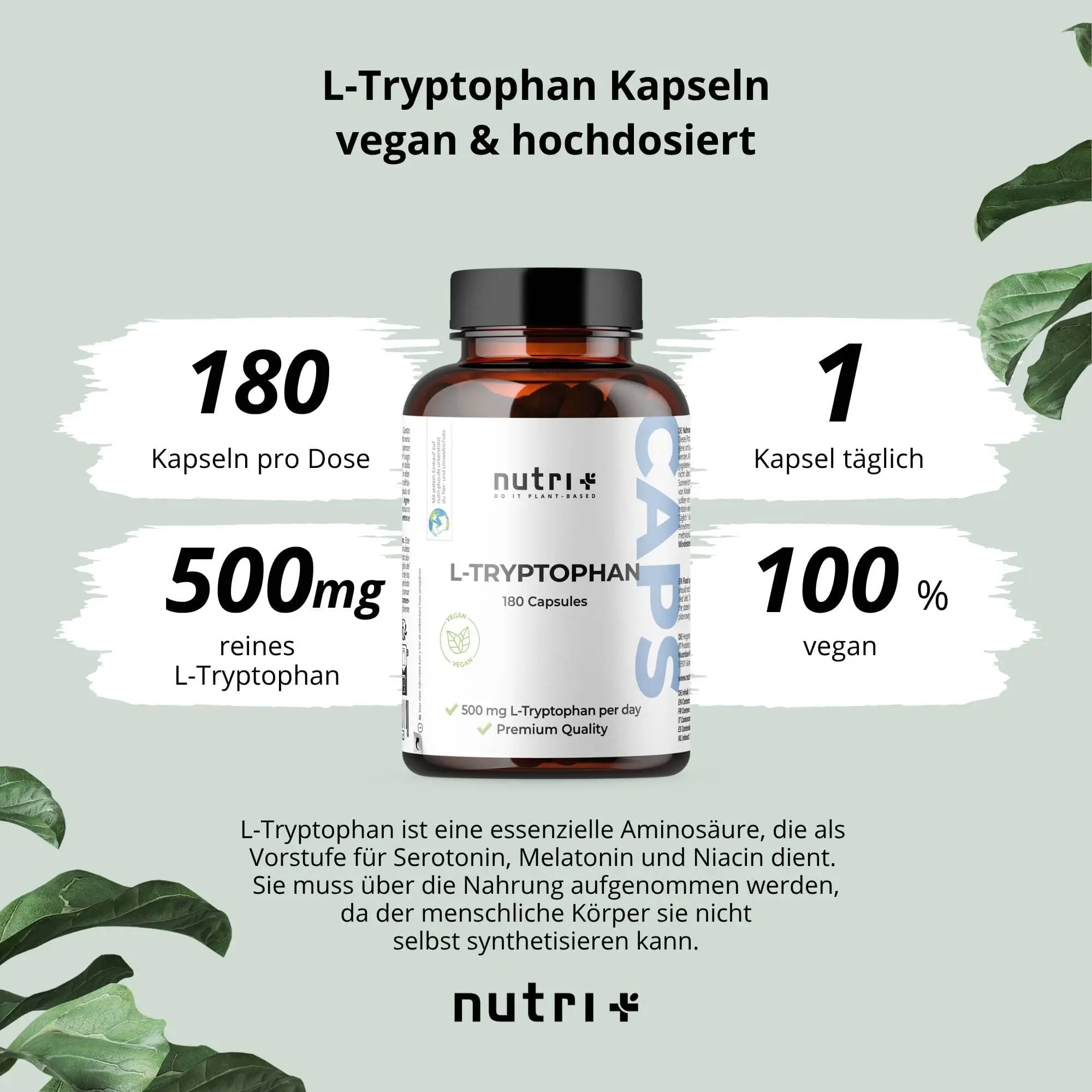 L-Tryptophan Kapseln auf hellem Hintergrund, 100% vegan, ohne Zuckerzusatz, glutenfrei und soja-frei.
