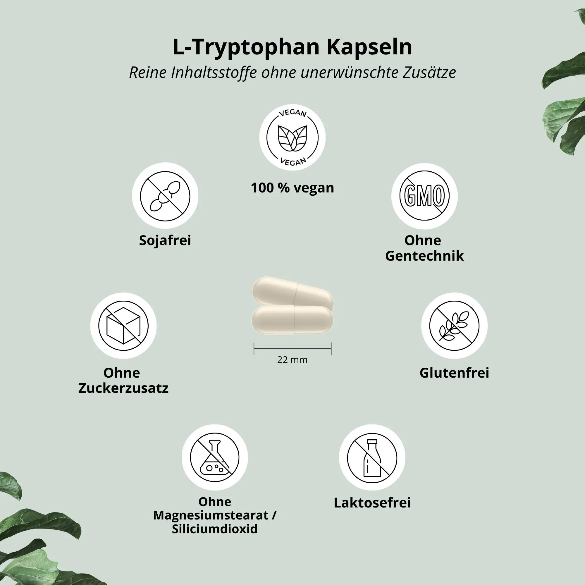 L-Tryptophan Kapseln auf hellem Hintergrund, 100% vegan, ohne Zuckerzusatz, glutenfrei und soja-frei.